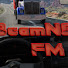 ilv6t0LRcI0-channel-avatar-BeamNGFM