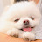 @해리욤