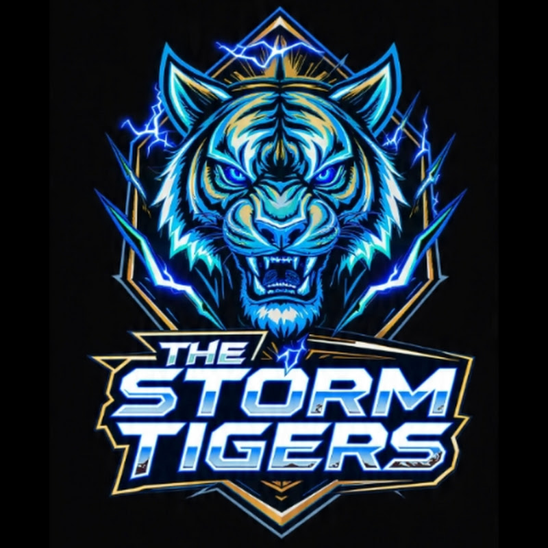 THE STORM TIGERS 