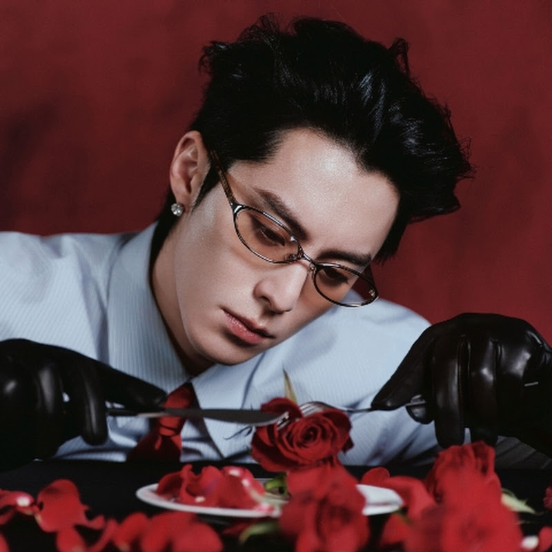 Dylan Wang Video Archive Logo