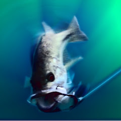 Fish Hunt Florida Outdoors