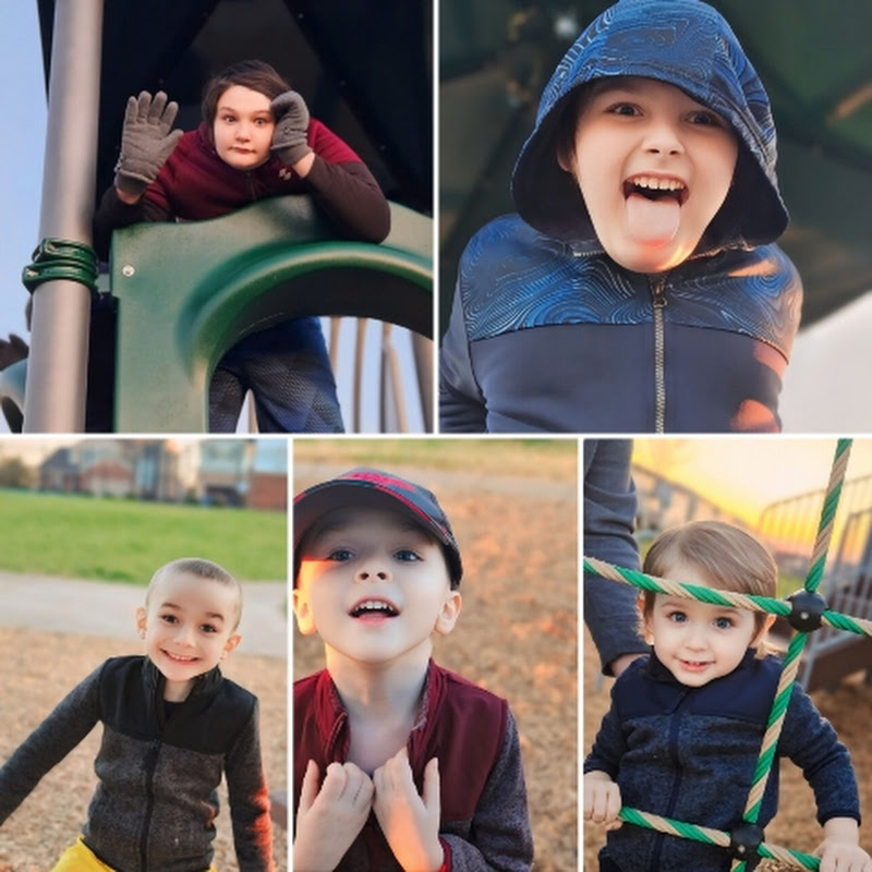 Fox Family Fun Pack!
