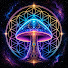 vGAv20xotfo-channel-avatar-Cosmic shroom