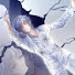 jPMeH0Y5OKY-channel-avatar-明镜菩提♡小狮子