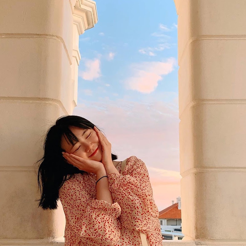 單單小姐Miss DanDan Logo