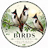 BZDNqvfdhRw-channel-avatar-Birder Birds TV 