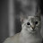 @s.y.anderson8691 Avatar