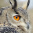@LiraeNoir's avatar