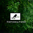 dIptTxJG380-channel-avatar-Top10Nature