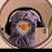 @حسناءمحمود-ج4ل