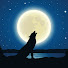 c53ucZiU4qE-channel-avatar-Wolf Walks