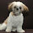 @BeaverPDX72's avatar