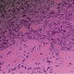 ScY0gnsk5Uo-channel-avatar-EwwComp