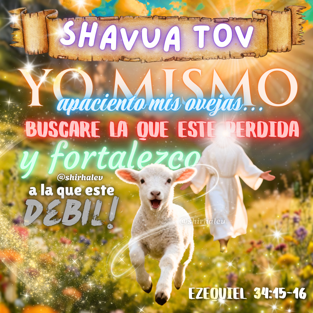 Post from Shir Halev