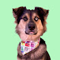 Arbor the Science Dog logo
