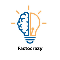 Factocrazy
