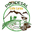 NwAjBsKybSo-channel-avatar-PRODESAL Calle Larga