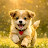 Puppies Love 