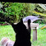 xVDoBpJlLnc-channel-avatar-Life with DollyJean