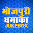 kmoMHkHMq0w-channel-avatar-Bhojpuri Dhamaka Jukebox