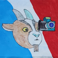 Miguel's Video Media channel thumbnail