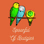 Spoonful Of Budgies logo