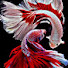q00EQM07sco-channel-avatar-J H R up2u