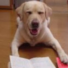 勉強犬のHOME BASE【勉強情報発信基地】