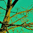 sXjf2P8EzaM-channel-avatar-iSkyler