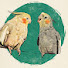 exsRZz_KyBg-channel-avatar-Cockatiel Chatter