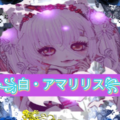 白・アマリリス
