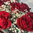 @NouranAbuZaid