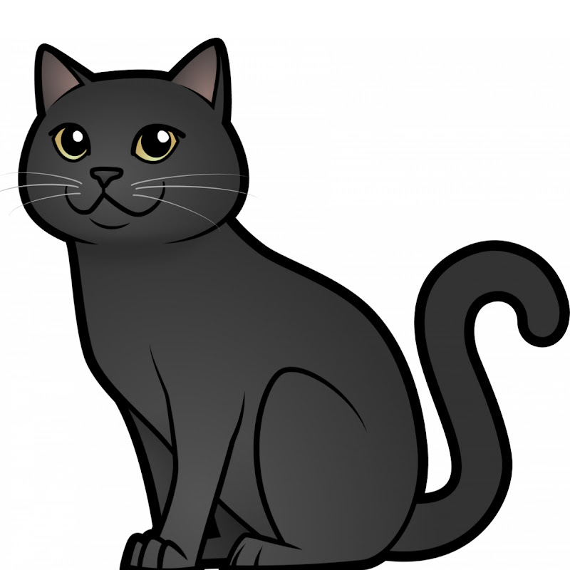Coco the Cat