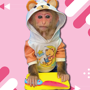 Animals_Home's Best & Most Popular YouTube Videos (Oct 2026)