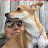 @Thecowboy1950 Avatar