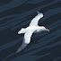 vh_aKl-si1w-channel-avatar-Myhobbies