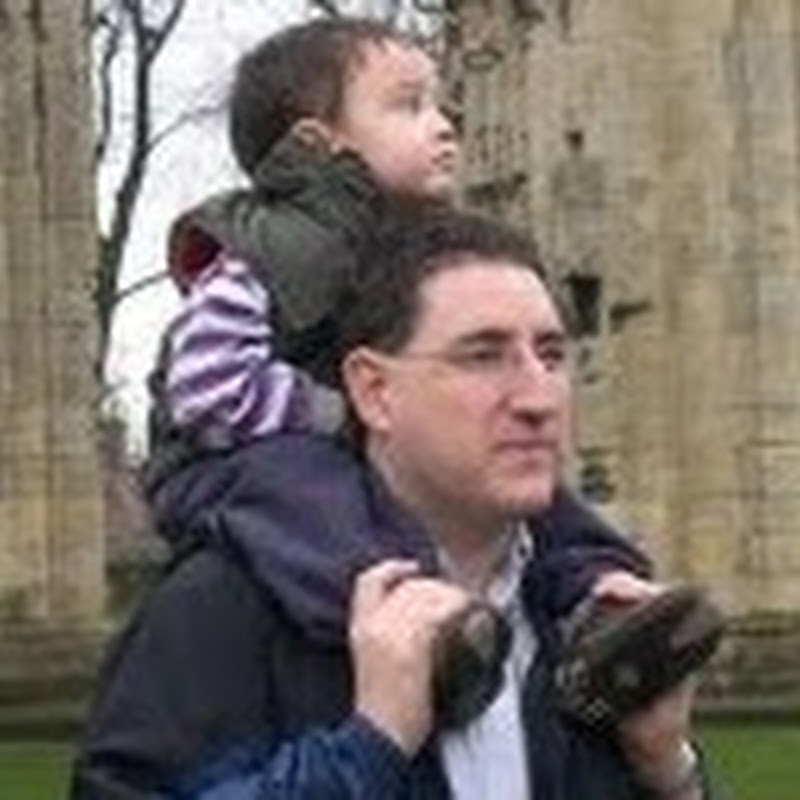 David M. Levinson icon