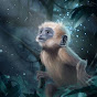 Monkey Tales YouTube Profile Photo