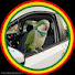omAmMHfN-Jg-channel-avatar-Tri Motorista
