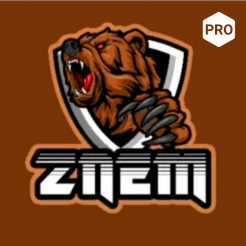ZNEM (Azerbaijan)