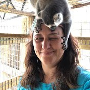 Essential Animal Training