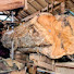 R-Jwp9mSBKo-channel-avatar-American Wood Cutting
