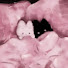 2_ZPcp-HFeM-channel-avatar-7.its_Meimei
