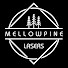 jXvuLdXclrM-channel-avatar-Mellowpine Lasers
