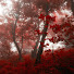PkEuL0xt_SY-channel-avatar-ℳ𝒶𝓇𝓃𝒾 〜🎸