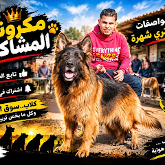 مافيا مملكة الكلاب مع Ahmed Makarona