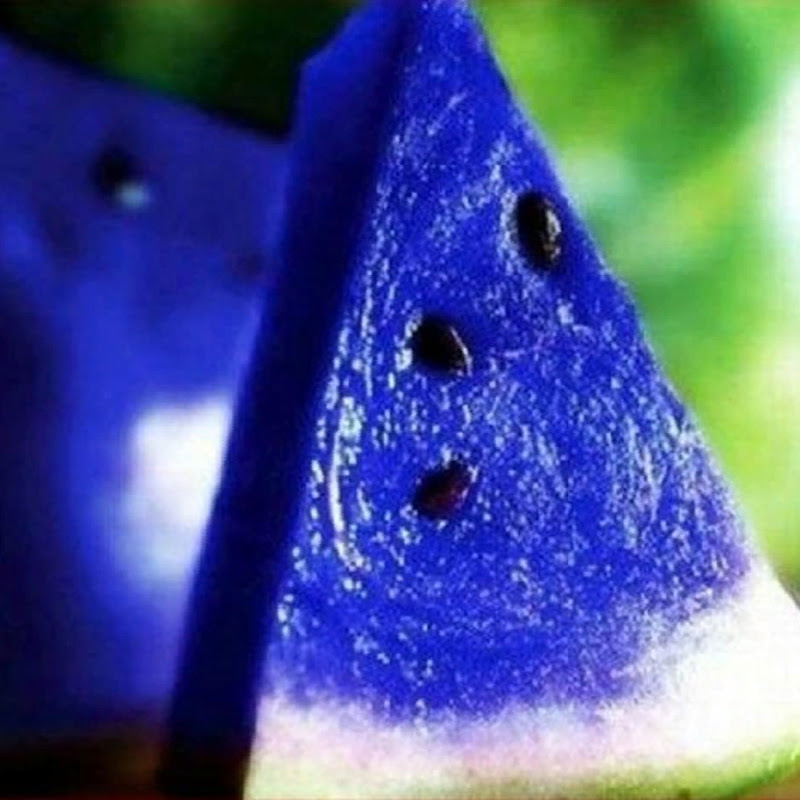 Blue Watermelon