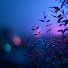 vXC4VLsHuq0-channel-avatar-Midnight Rain Lounge