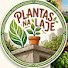aWCu5a5XmLc-channel-avatar-PLANTAS NA LAJE 💚🏠