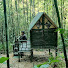 -rwi6NzbbZw-channel-avatar-Tropical Forest
